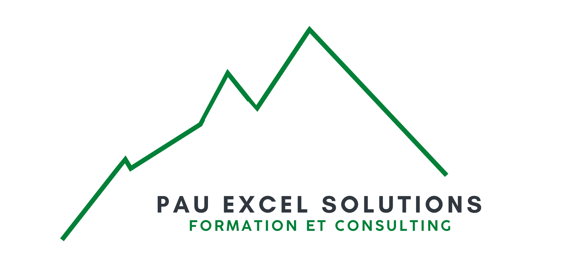 PauExcelSolutions